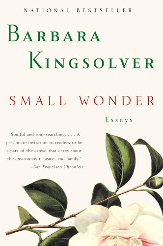 Imagen de archivo de Small Wonder: Essays a la venta por Gulf Coast Books