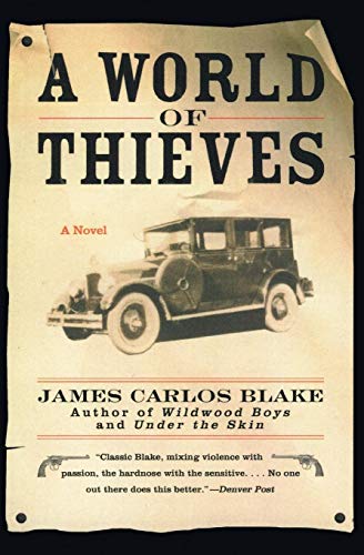 Stock image for A World of Thieves: A Novel for sale by HPB-Red