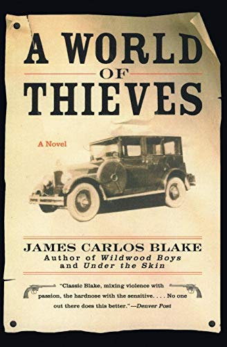 Stock image for A World of Thieves : A Novel for sale by Better World Books: West