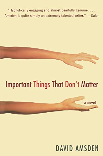 9780060513894: Important Things That Don't Matter: A Novel