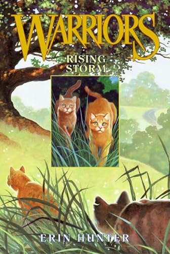 Beispielbild fr Rising Storm Warriors Book 4 zum Verkauf von SecondSale
