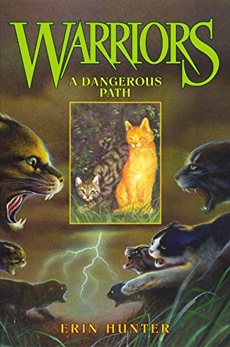 Stock image for A Dangerous Path for sale by Better World Books
