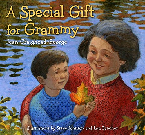 9780060531768: A Special Gift for Grammy