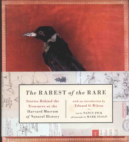 Beispielbild fr Rarest of the Rare : Stories Behind the Treasures at the Harvard Museum of Natural History zum Verkauf von Better World Books