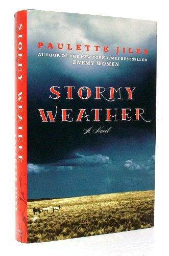 Beispielbild fr Stormy Weather: A Novel zum Verkauf von Your Online Bookstore