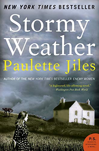 9780060537333: Stormy Weather: A Novel