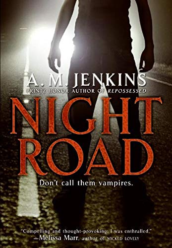 Stock image for Night Road for sale by Your Online Bookstore