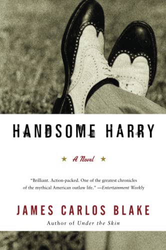 Imagen de archivo de Handsome Harry: A Novel a la venta por Hawking Books