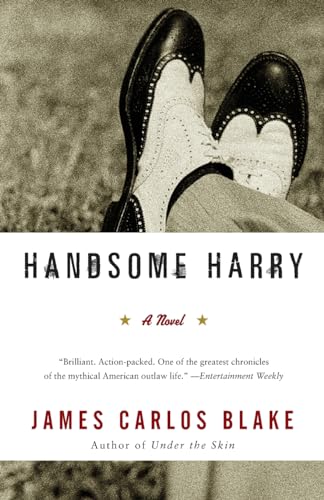 9780060554798: Handsome Harry: A Novel