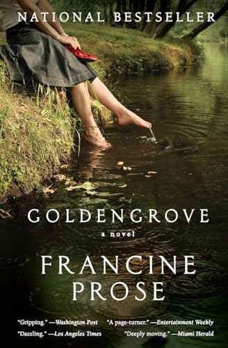 9780060560027: Goldengrove: A Novel