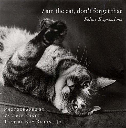 Imagen de archivo de I Am the Cat, Don't Forget That: Feline Expressions a la venta por Gulf Coast Books