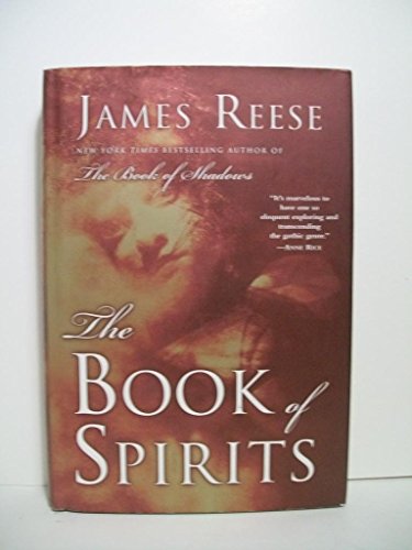 Stock image for The Book of Spirits for sale by Better World Books