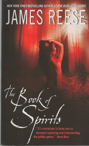 Stock image for The Book of Spirits for sale by SecondSale