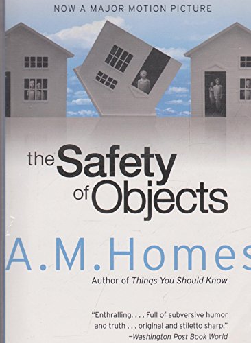 Beispielbild fr Safety of Objects zum Verkauf von Wonder Book