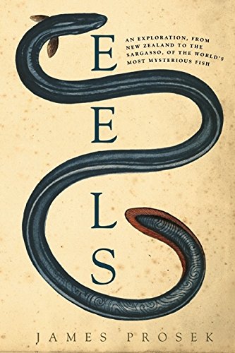 9780060566111: Eels: An Exploration, from New Zealand to the Sargasso, of the World's Most Mysterious Fish