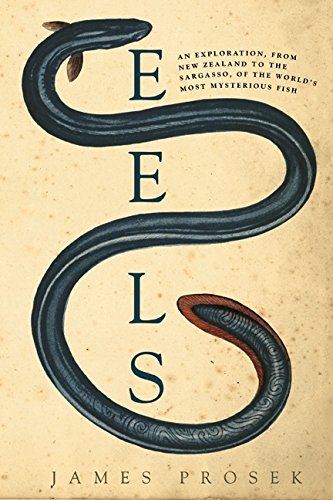 Stock image for Eels : An Exploration, from New Zealand to the Sargasso, of the World's Most Mysterious Fish for sale by Better World Books