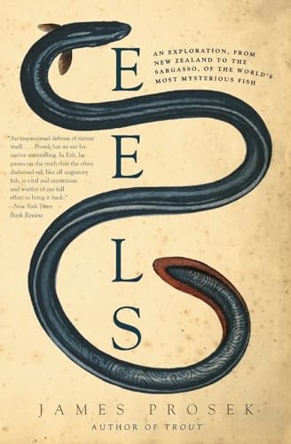 Stock image for Eels: An Exploration, from New Zealand to the Sargasso, of the Worlds Most Mysterious Fish for sale by Stone Soup Books Inc