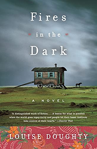Imagen de archivo de Fires in the Dark : A Novel a la venta por Better World Books