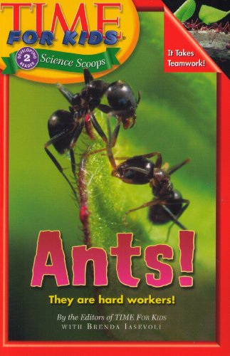 Beispielbild fr Time for Kids : Ants! zum Verkauf von Better World Books