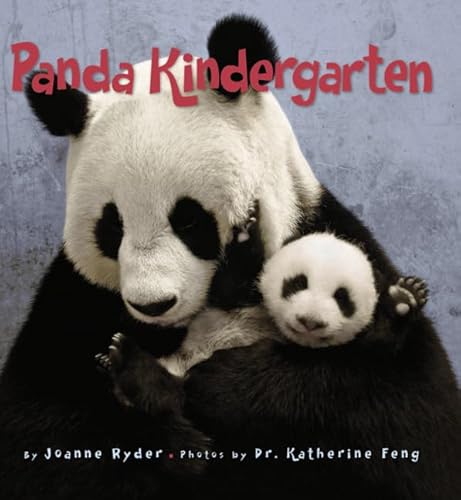 Imagen de archivo de Panda Kindergarten a la venta por Gulf Coast Books