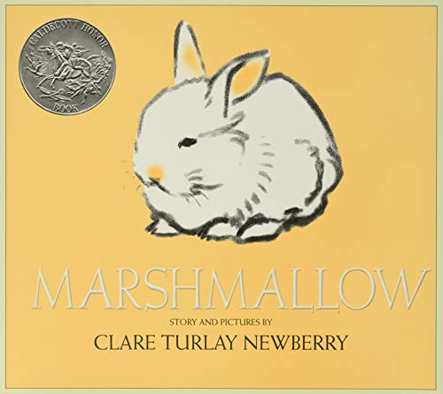 Imagen de archivo de Marshmallow: An Easter And Springtime Book For Kids a la venta por Goodwill of Colorado