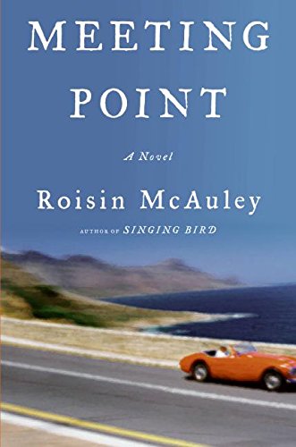 9780060737900: Meeting Point: A Novel