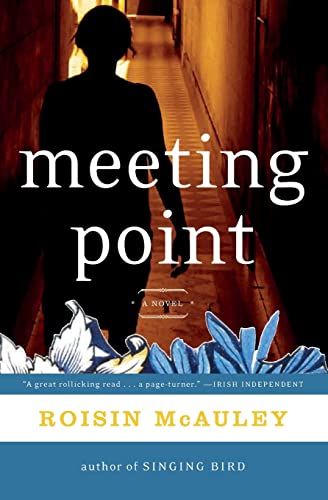 9780060737917: Meeting Point: A Novel