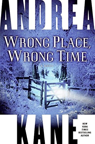 Stock image for Wrong Place, Wrong Time: A Novel for sale by Wonder Book