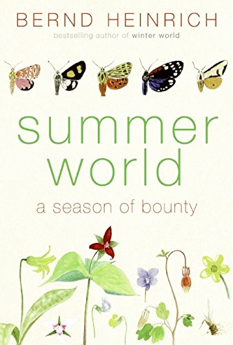 Beispielbild fr Summer World : A Season of Bounty zum Verkauf von Better World Books