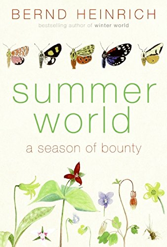 Imagen de archivo de Summer World: A Season of Bounty a la venta por Blue Vase Books