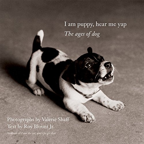 Stock image for I Am Puppy, Hear Me Yap : The Ages of Dog for sale by Better World Books