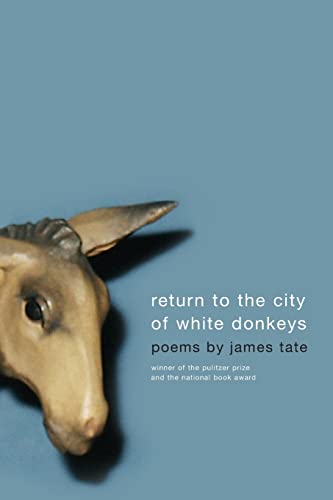 9780060750022: RETURN TO CITY WHI DONKEYS: Poems