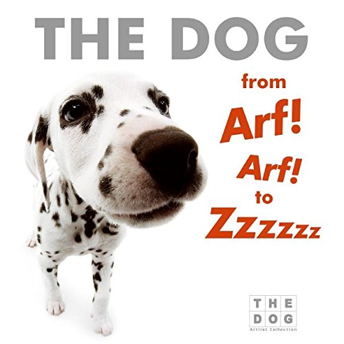 9780060771812: The Dog from Arf! Arf! to Zzzzzz Board Book