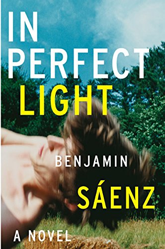 9780060779207: In Perfect Light: A Novel