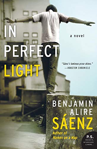 Beispielbild fr In Perfect Light: A Novel zum Verkauf von BooksRun