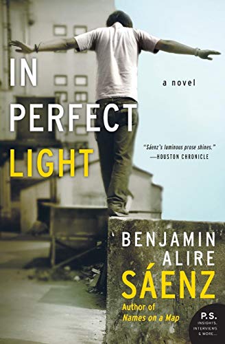 Stock image for In Perfect Light: A Novel for sale by BooksRun
