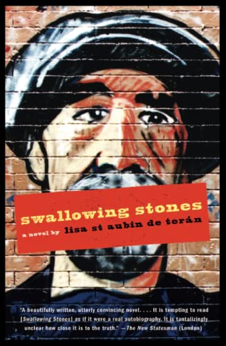 Imagen de archivo de Swallowing Stones: A Novel a la venta por Project HOME Books