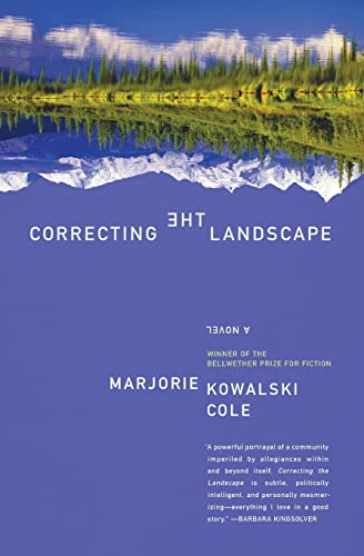 Beispielbild fr Correcting the Landscape zum Verkauf von Blackwell's