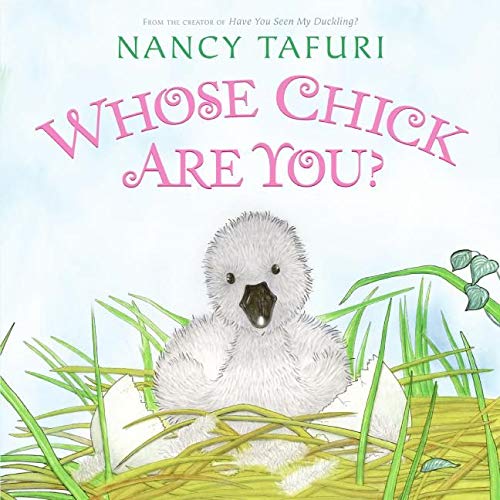 Beispielbild fr Whose Chick Are You? zum Verkauf von Wonder Book