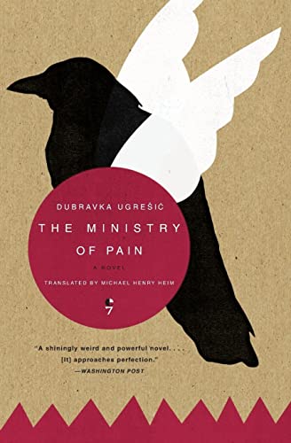 Imagen de archivo de The Ministry of Pain: A Novel a la venta por BooksRun