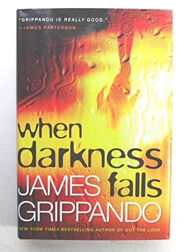 Stock image for When Darkness Falls (Jack Swyteck Novel) for sale by Gulf Coast Books