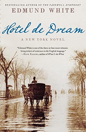 Beispielbild fr Hotel de Dream: A New York Novel zum Verkauf von SecondSale