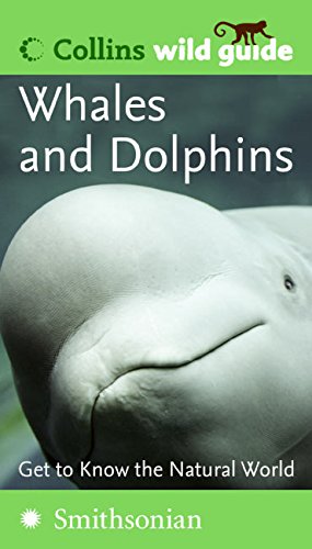 Beispielbild fr Whales And Dolphins (Collins Wild Guides) zum Verkauf von WorldofBooks