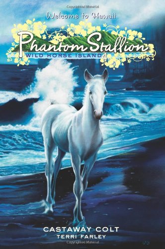 9780060886172: Phantom Stallion: Wild Horse Island #4: Castaway Colt