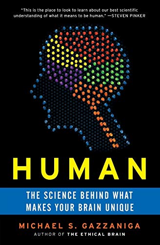 Stock image for Human: The Science Behind What Makes Your Brain Unique for sale by WorldofBooks