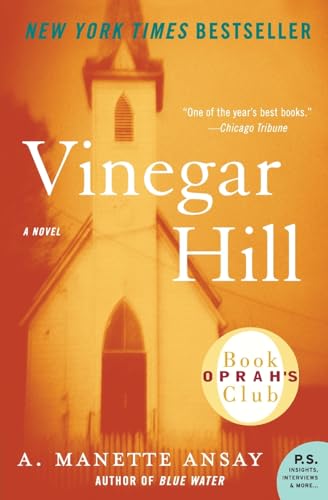 9780060897840: Vinegar Hill (P.S.)