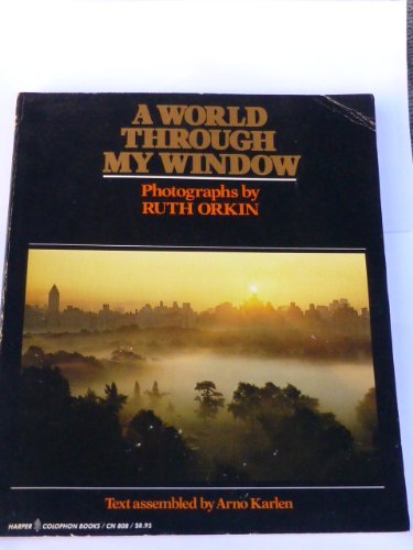 Imagen de archivo de A World Through My Window a la venta por HPB-Emerald