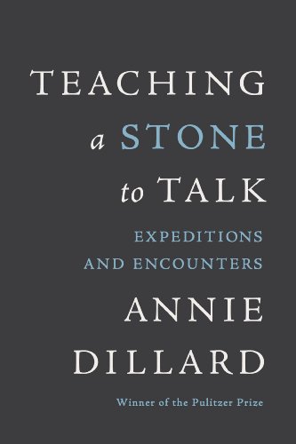 Imagen de archivo de Teaching a Stone to Talk: Expeditions and Encounters a la venta por SecondSale