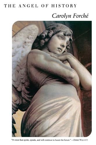Beispielbild fr The Angel of History zum Verkauf von Wonder Book