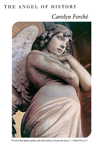 Stock image for The Angel of History for sale by Wonder Book